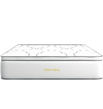 Coway Mattress Queen Melaka